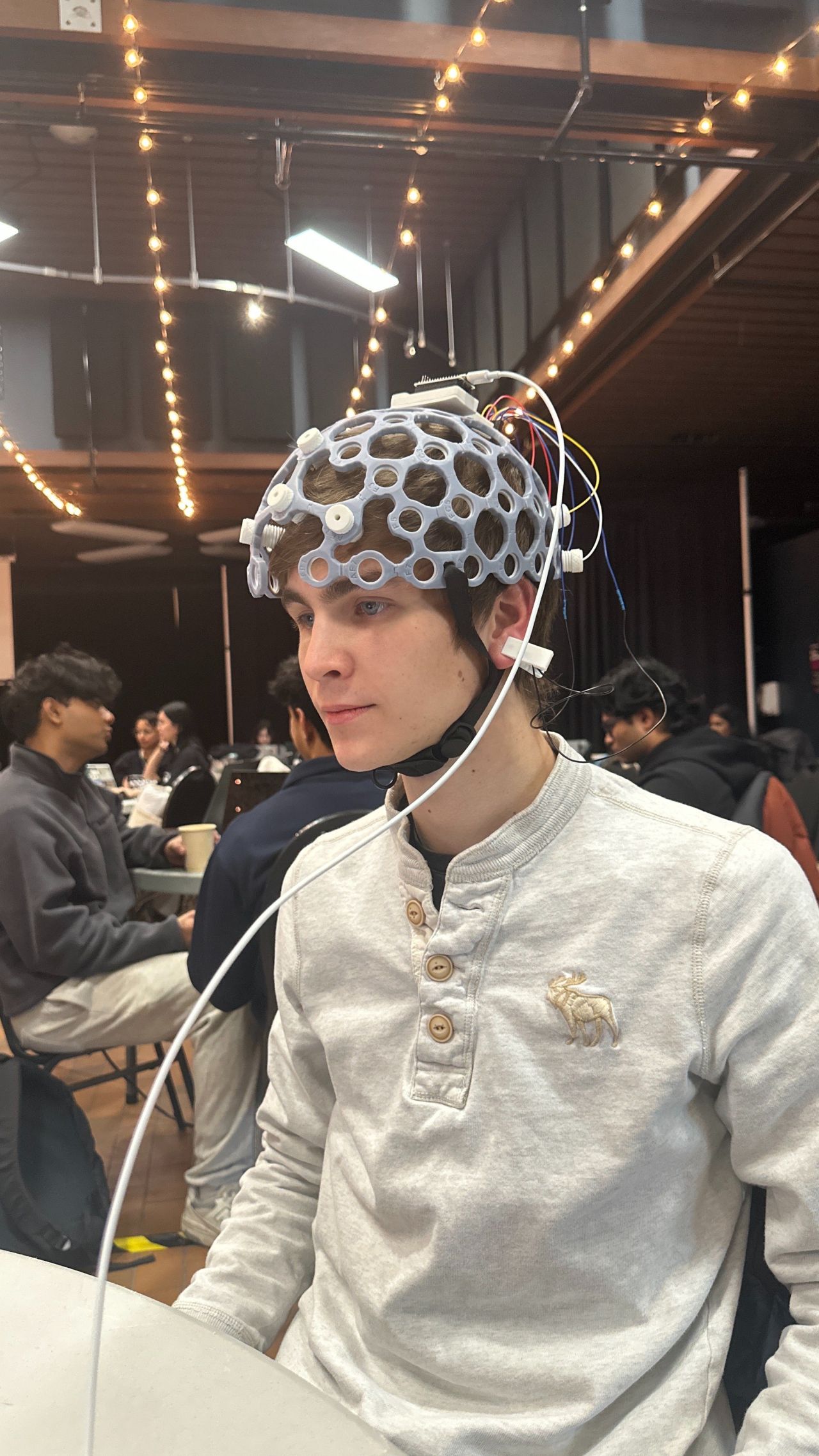 Flashing stimuli used to control the SSVEP chess demo