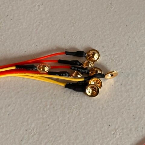 Gold Cup Electrodes Bundle